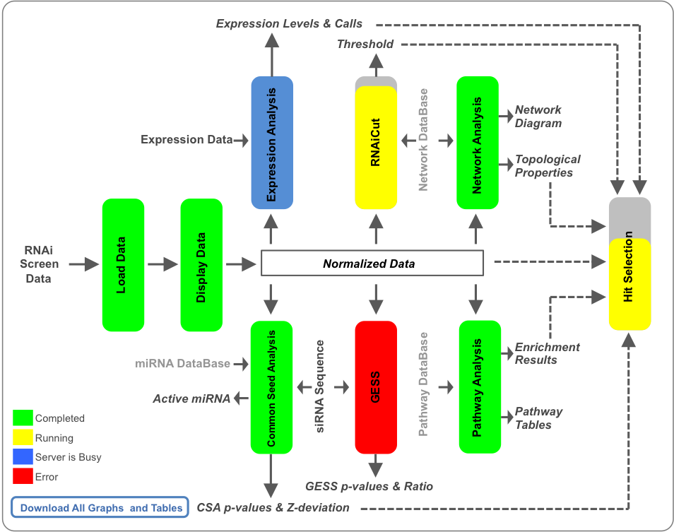 CARD Dashboard